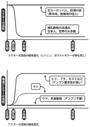 その70-2と3.jpg