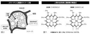 その67-2.jpg