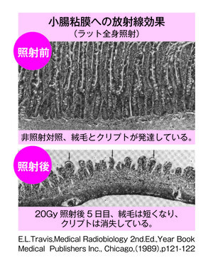 その61.jpg