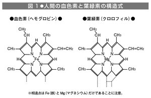 その17.jpg