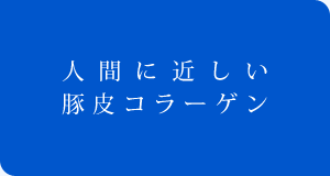 人間に近しい豚皮コラーゲン