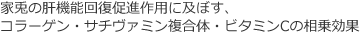 家兎の肝機能回復促進作用に及ぼす、コラーゲン・サチヴァミン複合体・ビタミンCの相乗効果