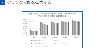 クリックで図を拡大する