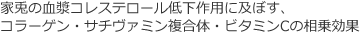 家兎の血漿コレステロール低下作用に及ぼす、コラーゲン・サチヴァミン複合体・ビタミンCの相乗効果