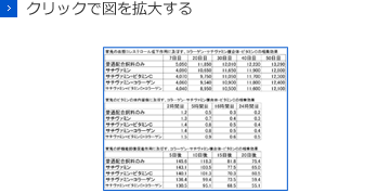 クリックで図を拡大する